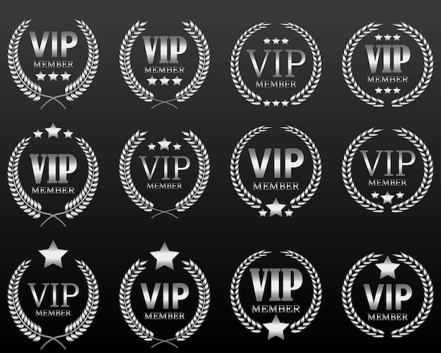 Various luxury silver VIP label by vector design