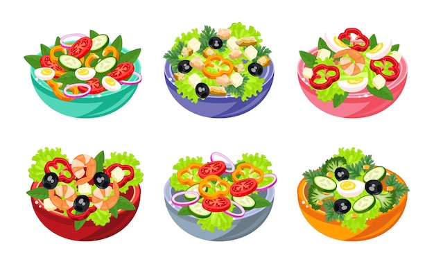 Various salads illustration set in cartoon style. Vegetable, fish and meat salad. Healthy and tasty food ideas