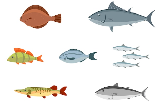 Various sea fish and freshwater fish by vector design