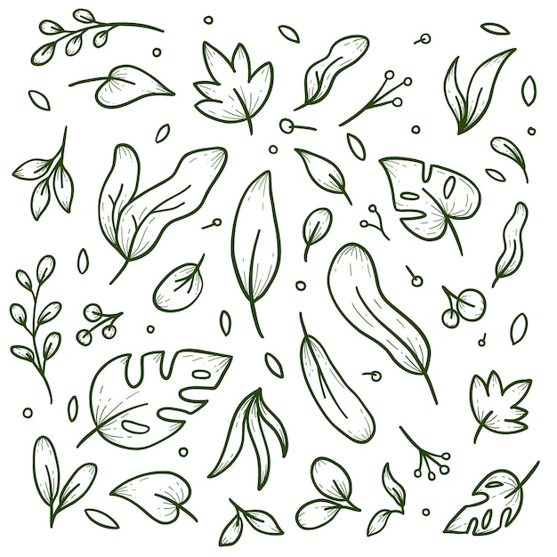 Various set of nature leaf generic vegetation background decoration doodle hand drawn