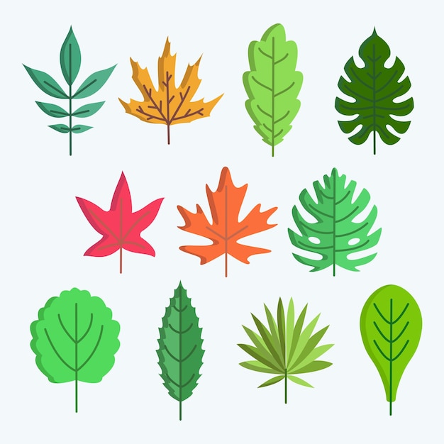 Various shapes if leaf forms