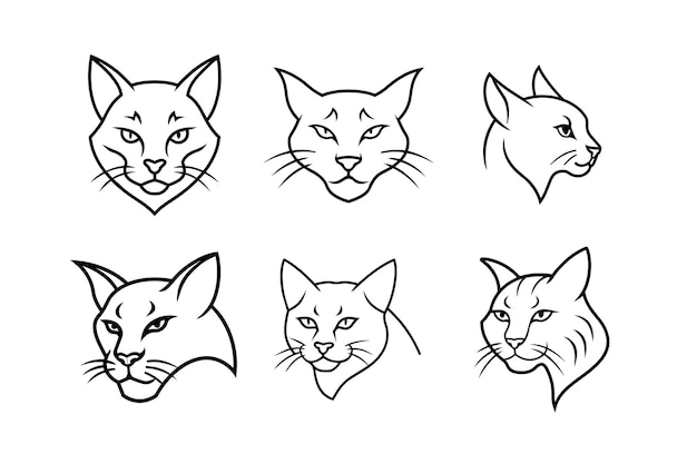 Various styles of a bobcats face logo labeled primitive vector design illustration