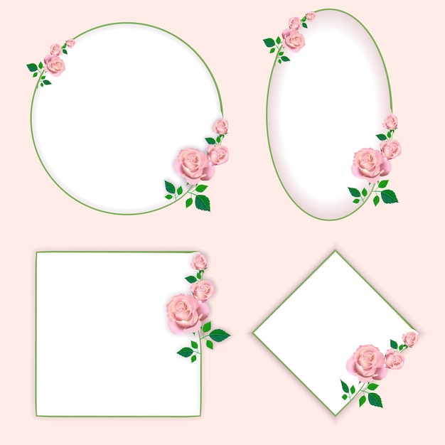 Various styles of roses for backgrounds cards and more