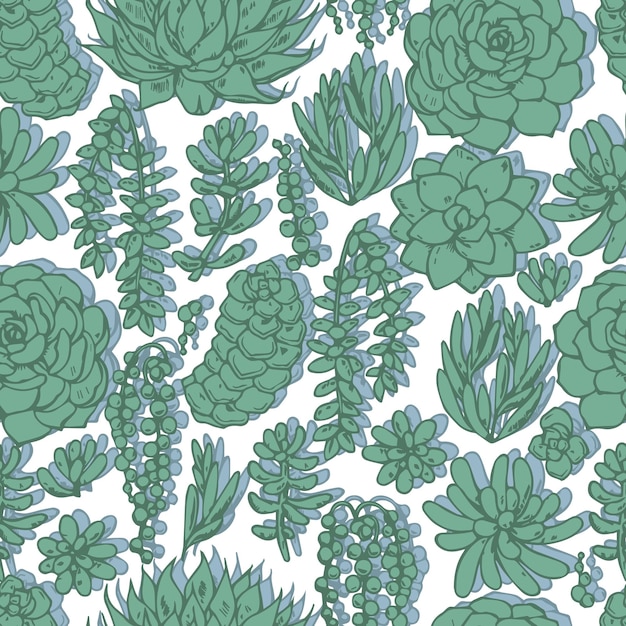 Various succulents vector seamless pattern