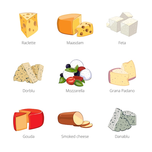 Various types of cheese in cartoon vector style. Mozzarella and raclette, maasdam and feta, dorblu and grano padano, danablu illustration