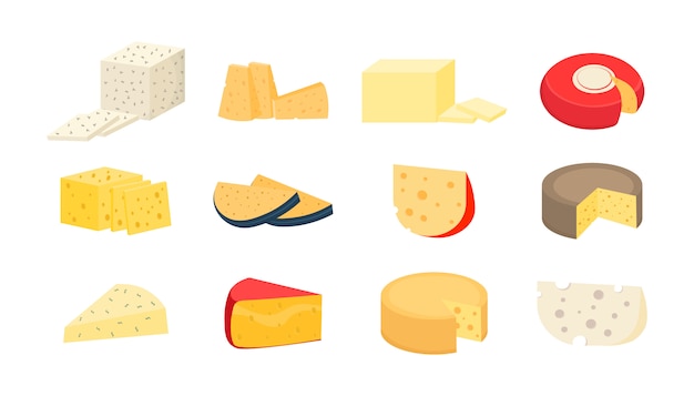 Various types of cheese. Set of cheese wheels and slices  on a white background. Modern  style realistic icons. Fresh parmesan or cheddar.  illustration, .