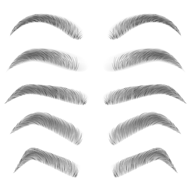 Various types of eyebrows.