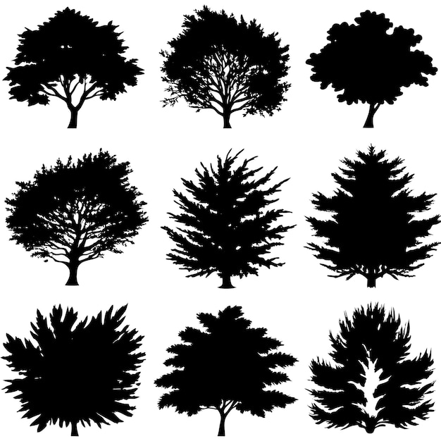 Vector various of vector tree silhouettes in dark black color