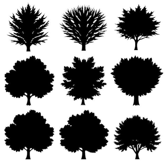 Vector various of vector tree silhouettes in dark black color