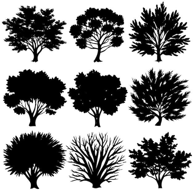 Vector various of vector tree silhouettes in dark black color