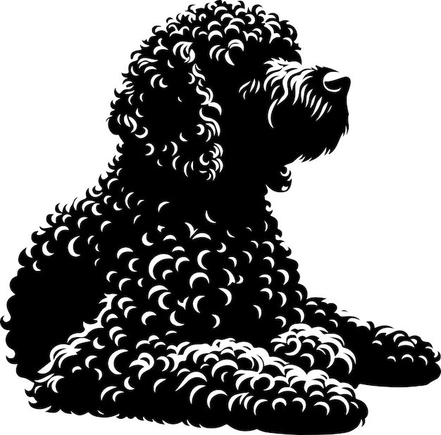 Vector vecteur stock spanish water dog vector black color silhouette