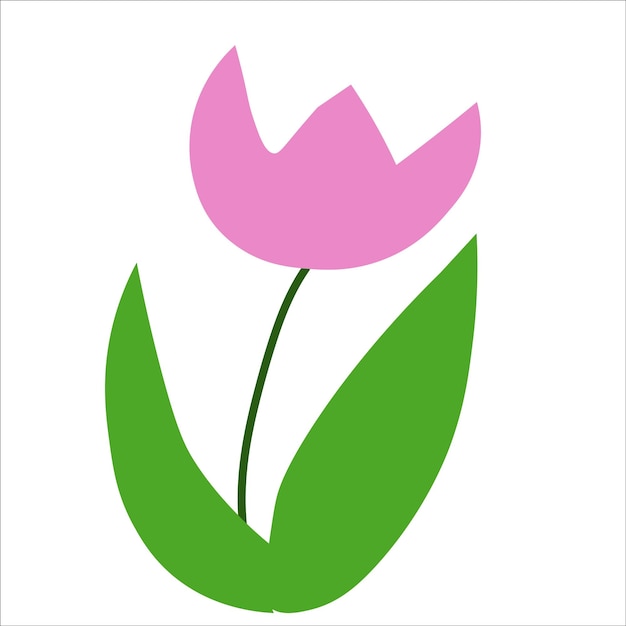 Vector abstract pink tulip illustration