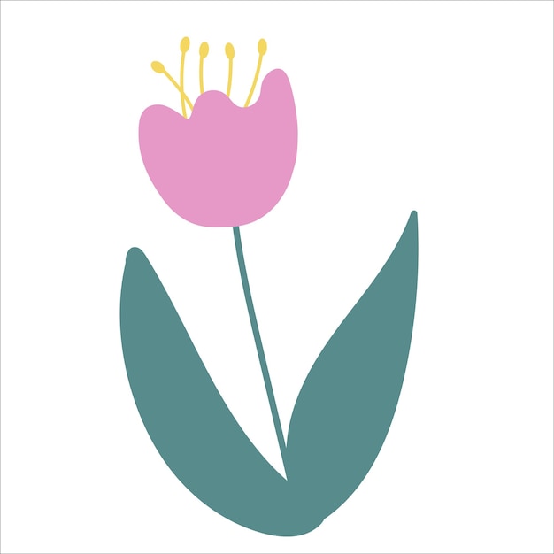 Vector abstract pink tulip illustration