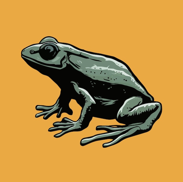 vector of Amphibian iludtration