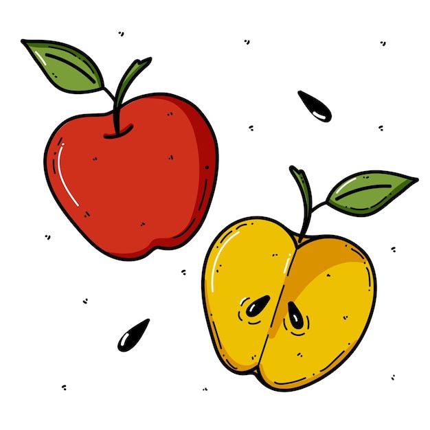 Vector apple doodle illustration Fruit illustration for farm market menu Healthy food design