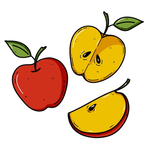 Vector apple doodle illustration Fruit illustration for farm market menu Healthy food design