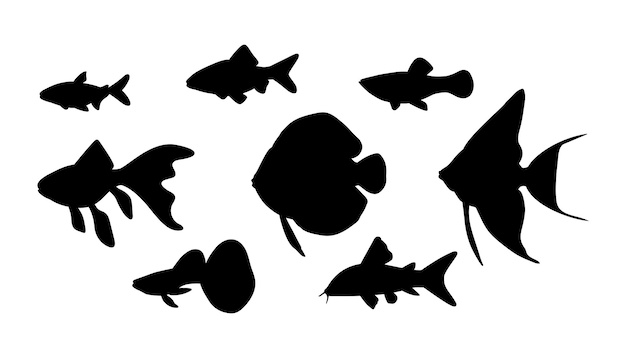 Vector aquarium fish in black silhouette isolated on white background