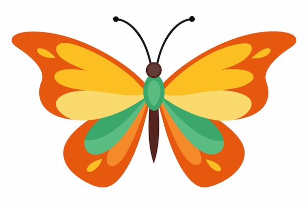 Vector vector art of butterfly on white background