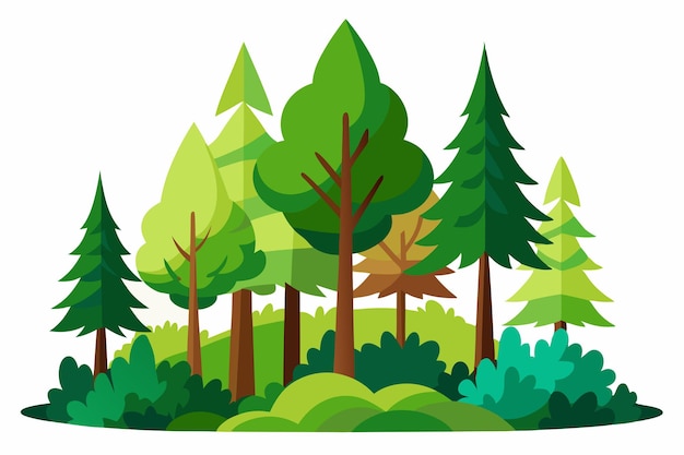 Vector art of Forest on white background