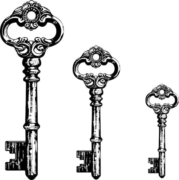 Vector vector art hand drawn simple skeleton key black and white ink pen hand drawing illustration