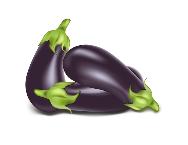 Vector. Aubergines