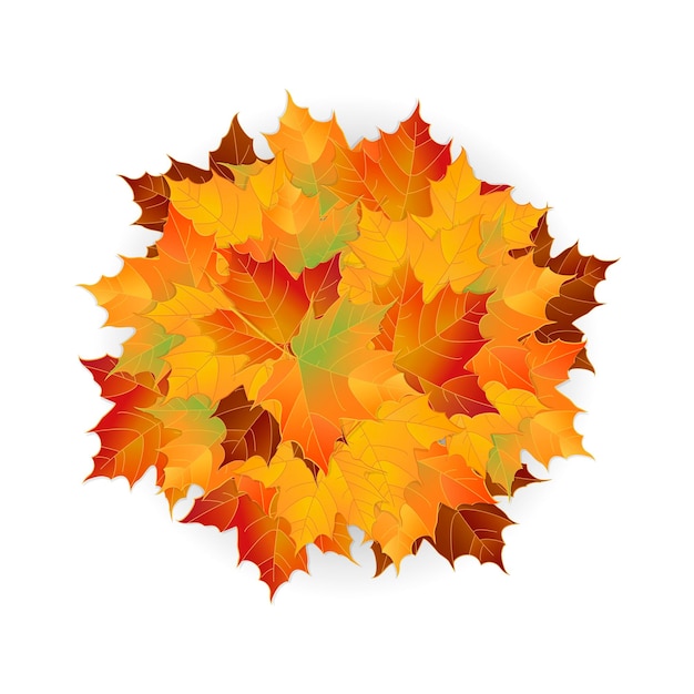 Vector autumn fallen leaves Leafs element floral color garden