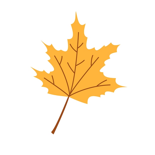 Vector autumn leaf Fall yellow maple leaf Gold foliage Autumn maple tree