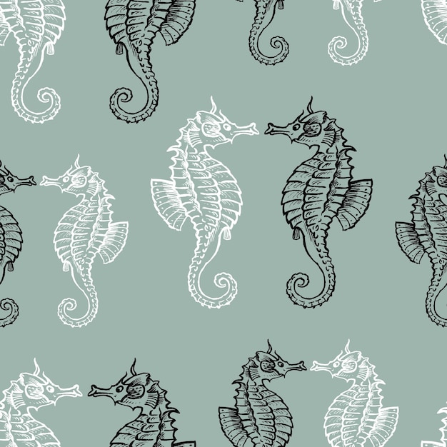 Vector background of the drawn seahorses