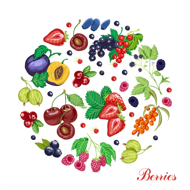 Vector background with  berries arranged in a circle