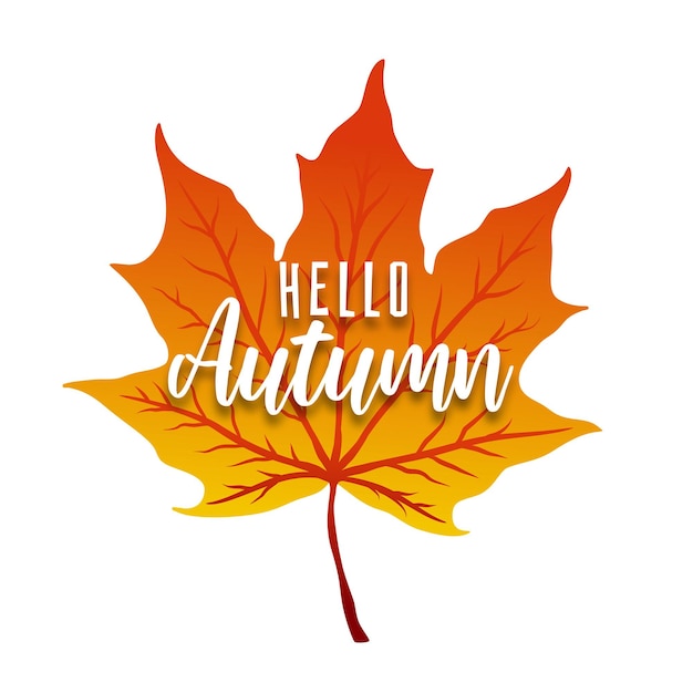 Vector background with hand lettering Hello autumn and leaves isolated on white background.