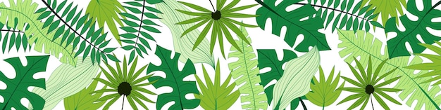 Vector banner of tropical leaves floral