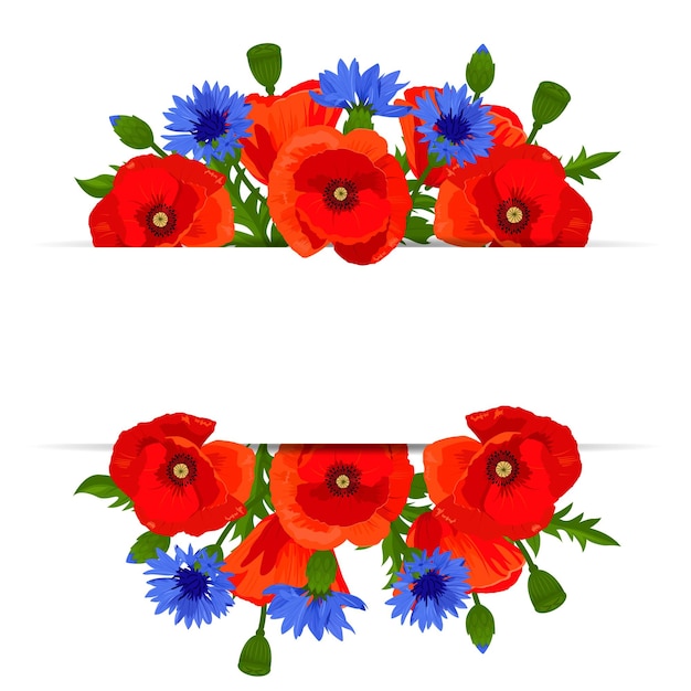 Vector banner with poppies cornflowers and green leaves Card design with space for text