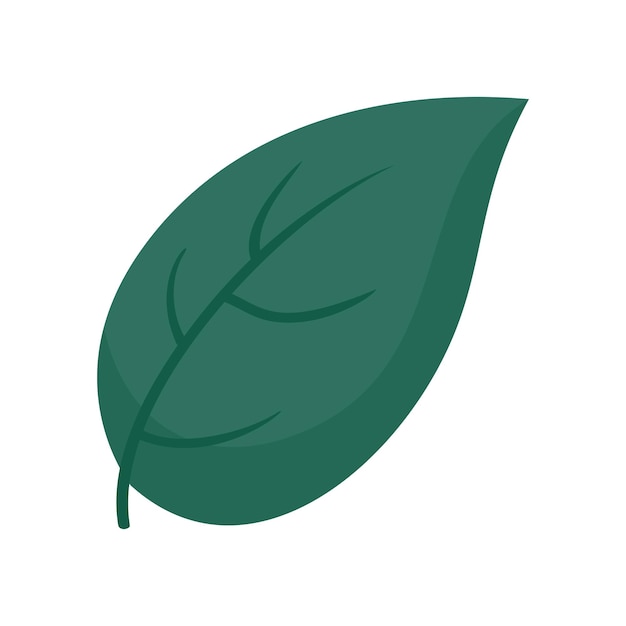 Vector basil leaf herb spice icon illustration