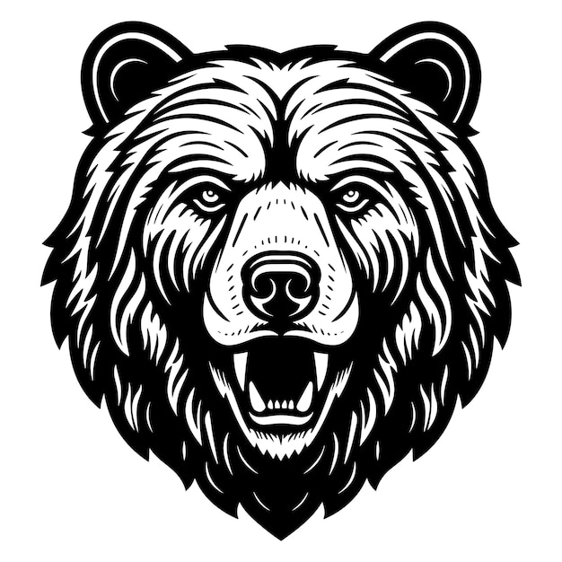 Vector bear head