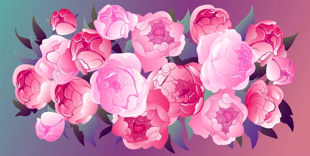 vector big peonies background