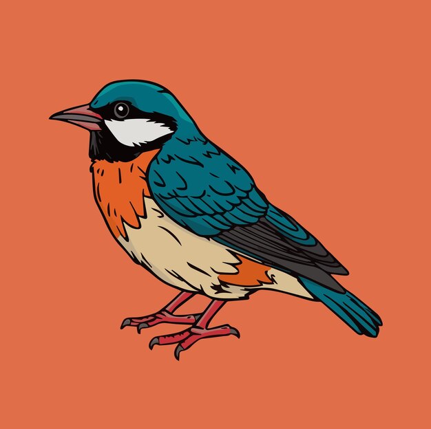 Vector vector of a bird ilustration