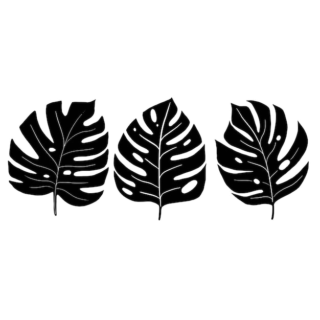 Vector black monstera leaves silhouette Set with tropical elements