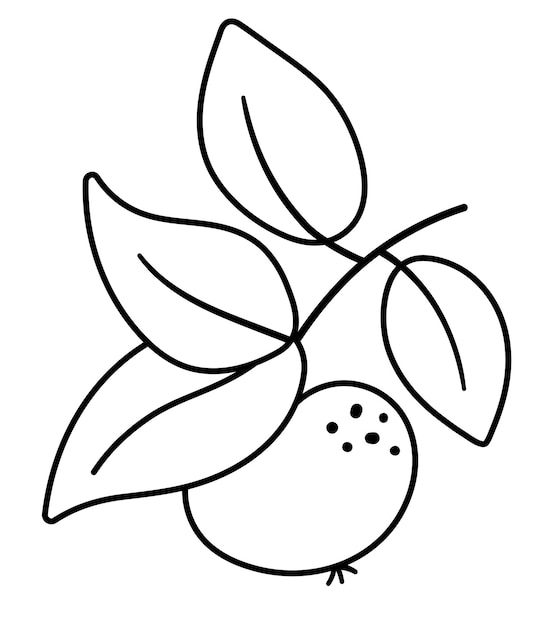 Vector black and white apple twig with leaves Autumn fruit line icon Garden harvest style illustration isolated on white backgroundxA