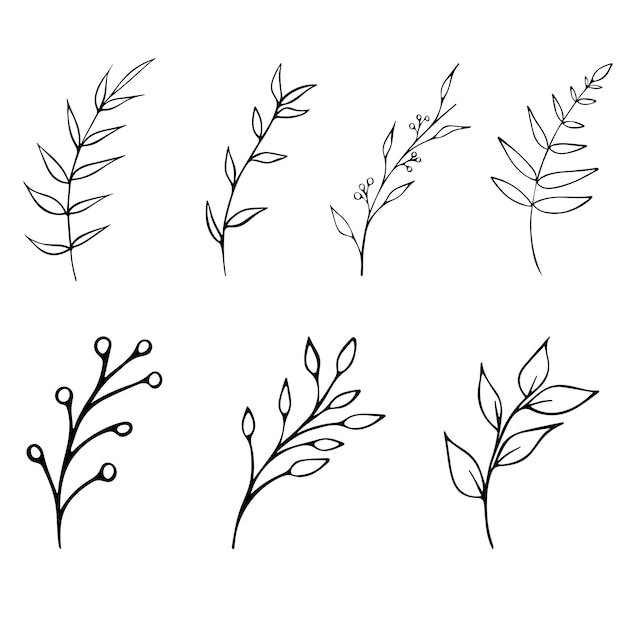 Vector vector black and white graphic illustration of branches on a white background