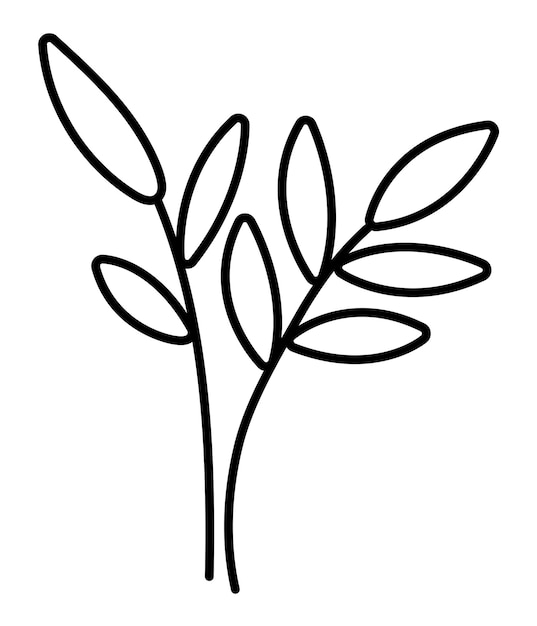 Vector black and white leaves Outline twigs picture Funny plant illustration or coloring page isolated on white background