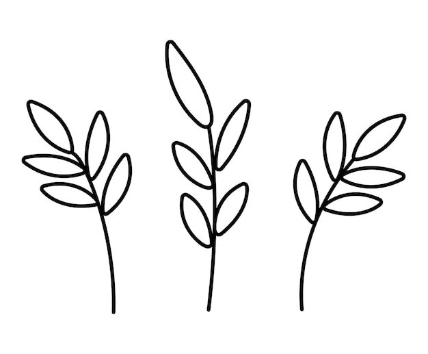 Vector black and white leaves Outline twigs picture Funny plant illustration or coloring page isolated on white background