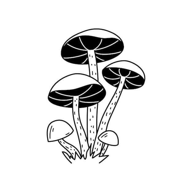 Vector black and white wild forest mushrooms on grass Autumn botanical design element