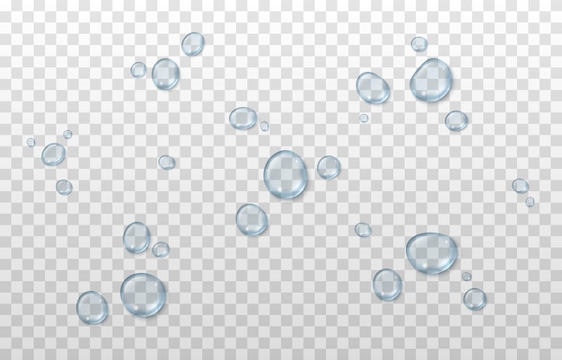 Vector vector blue water drops png drops condensation on the window on the surface realistic drops png