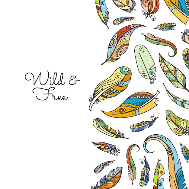 Vector boho doodle colored feathers background illustration