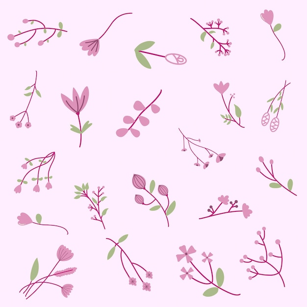 Vector vector botanical flower line drawing pattern