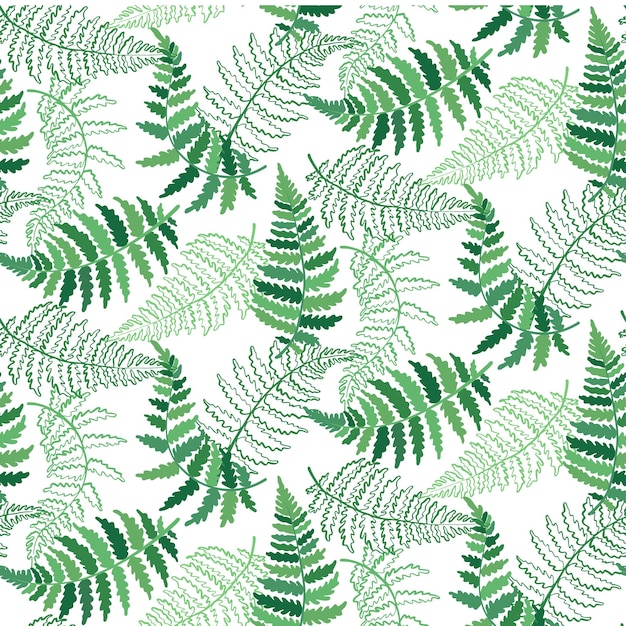 Vector vector botanical illustration of fern leaf isolated outline drawing of tropical plant