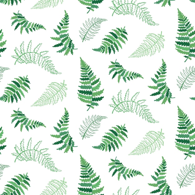 Vector botanical illustration of fern leaf Isolated outline drawing of tropical plant