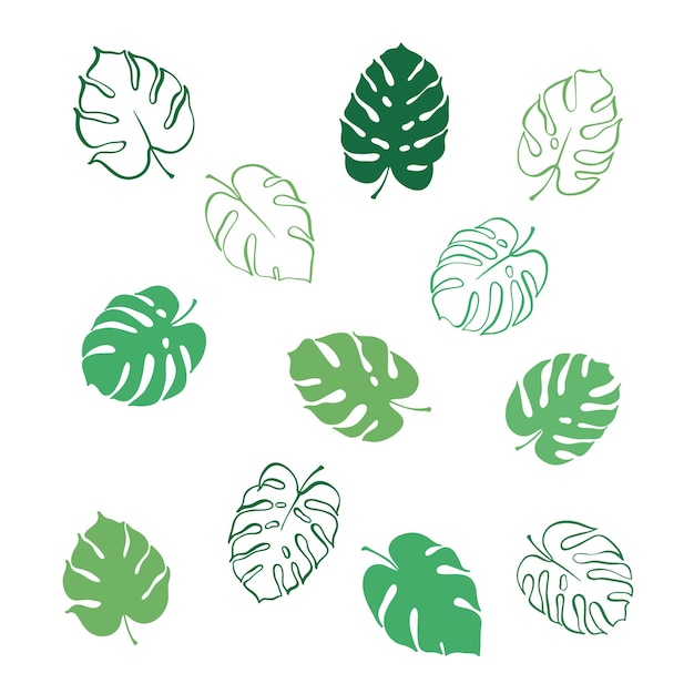 Vector botanical illustration of fern and monstera leaf Isolated outline drawing of tropical plant