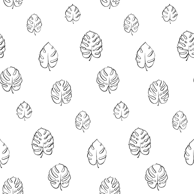 Vector botanical illustration of monstera leaf Isolated outline drawing