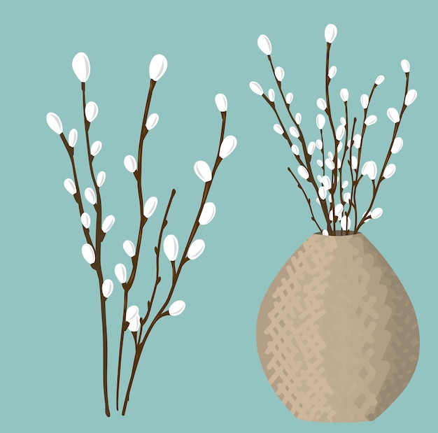 Vector bouquet of pussy willow in vase